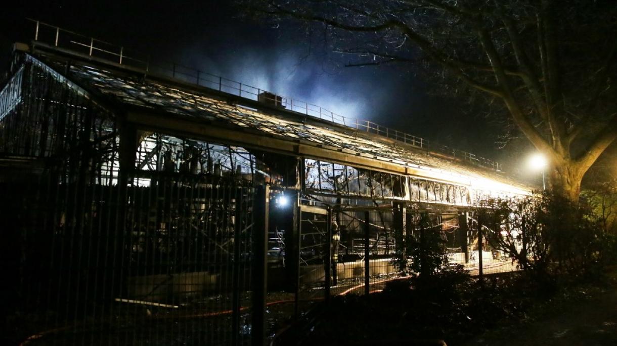 Muere una treintena de monos por incendio en parque zoológico Krefeld en Alemania