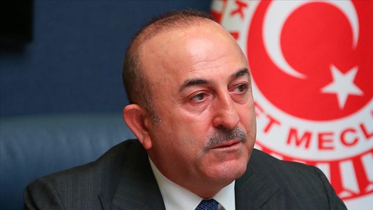 Canciller turco reitera que la resolución de EEUU no es vinculante