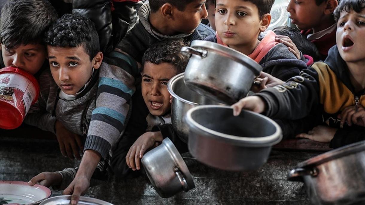 UNICEF: "1 em cada 6 bebés no norte da Faixa de Gaza sofre de subnutrição grave"