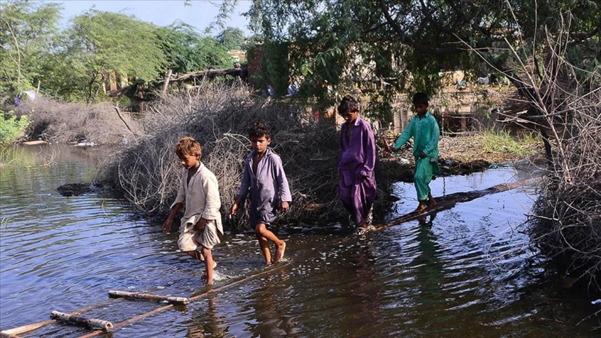 تعداد قربانیان سیلاب ها در پاکستان افزایش یافت