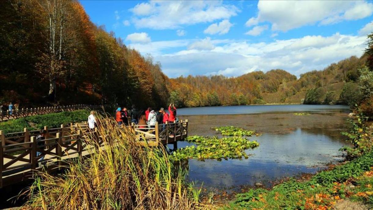 طبیعت زیبای دریاچه «اولوگول» در استان اردوی ترکیه