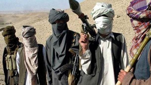 Owganystanda Talibana agza 17 terrorçy boýun egdi