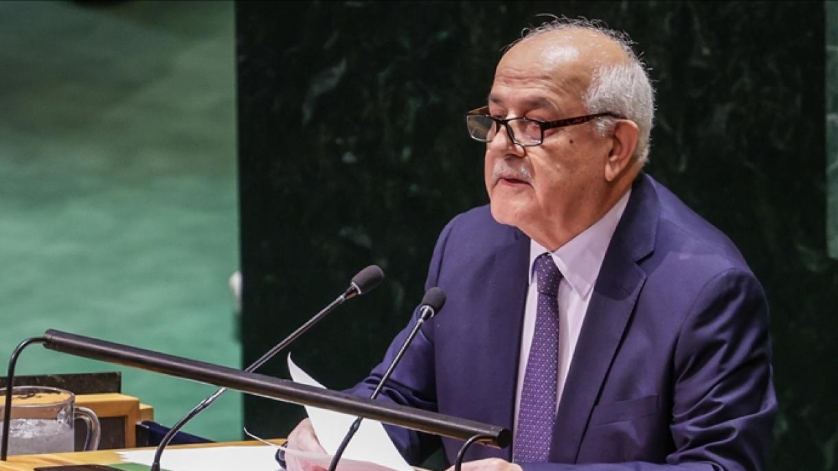 巴勒斯坦常驻联合国代表：呼吁为加沙立即采取行动