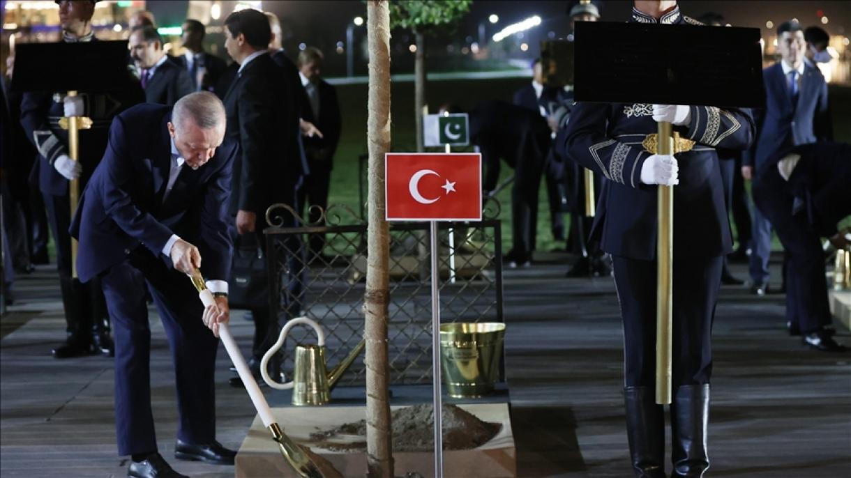 erdoğan-ağaç dikti.jpg