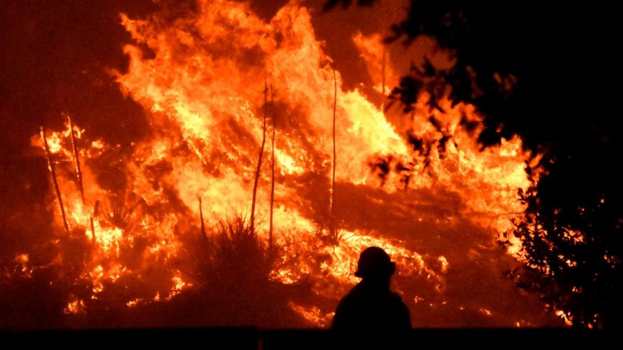 Incendio forestal en China causa veintena de muertos