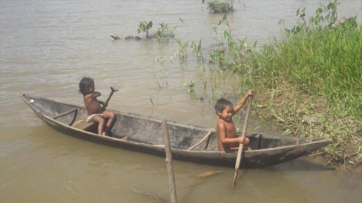 CIDH advierte grave situación de pueblo indígena en Brasil
