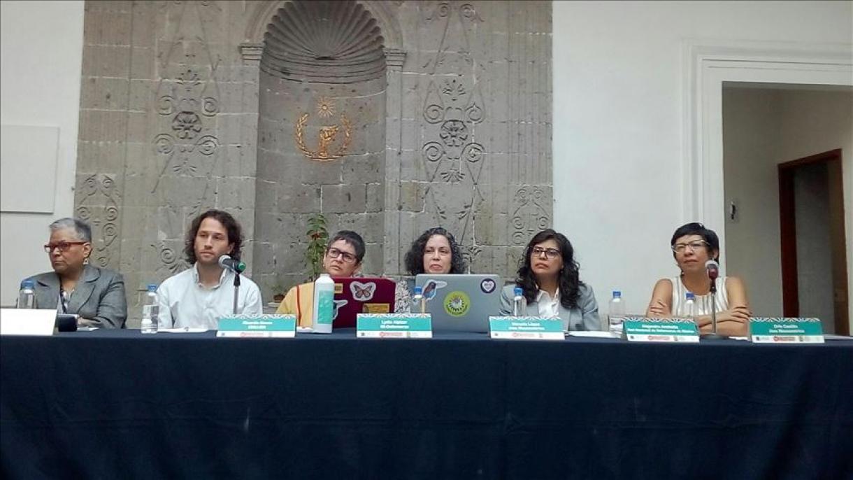 ONU: las defensoras de DDHH en Mesoamérica son las más agredidas en el mundo