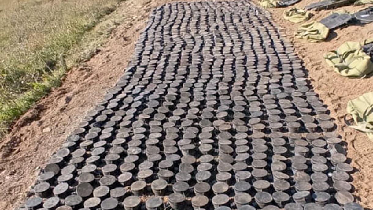 Azərbaycanın Laçın rayonunda bir ərazidə yüzlərlə mina aşkar edilib