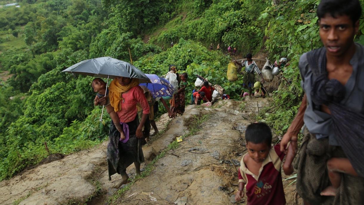 مین گذاری ارتش میانمار در مرز بنگلادش