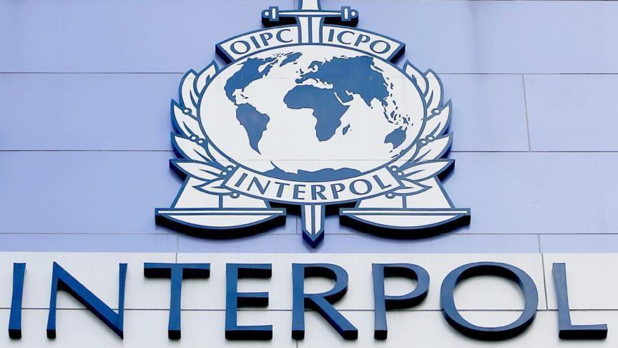 孟宏伟辞职 INTERPOL新主席将由谁来担任