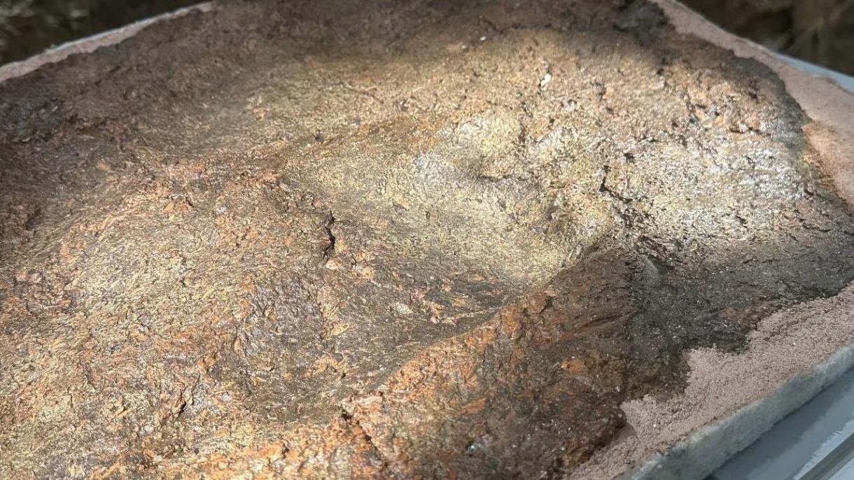 Se exhibe por primera vez la huella de pie de 8,000 años