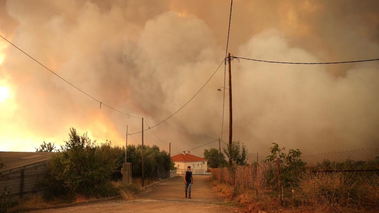Incêndios na Grécia: Suiça envia helicópteros e equipas