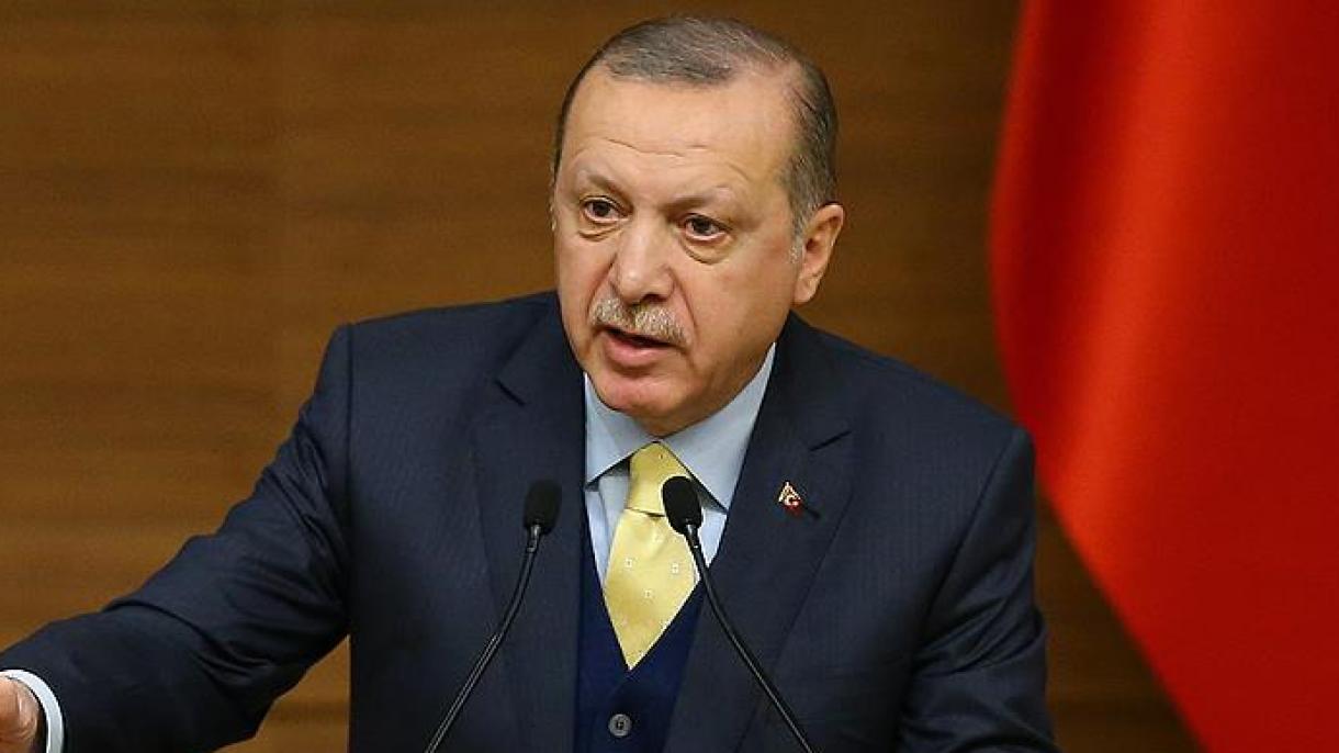 Erdogan: la nación turca mostró su poder a todo el mundo con la Operación Rama de Olivo