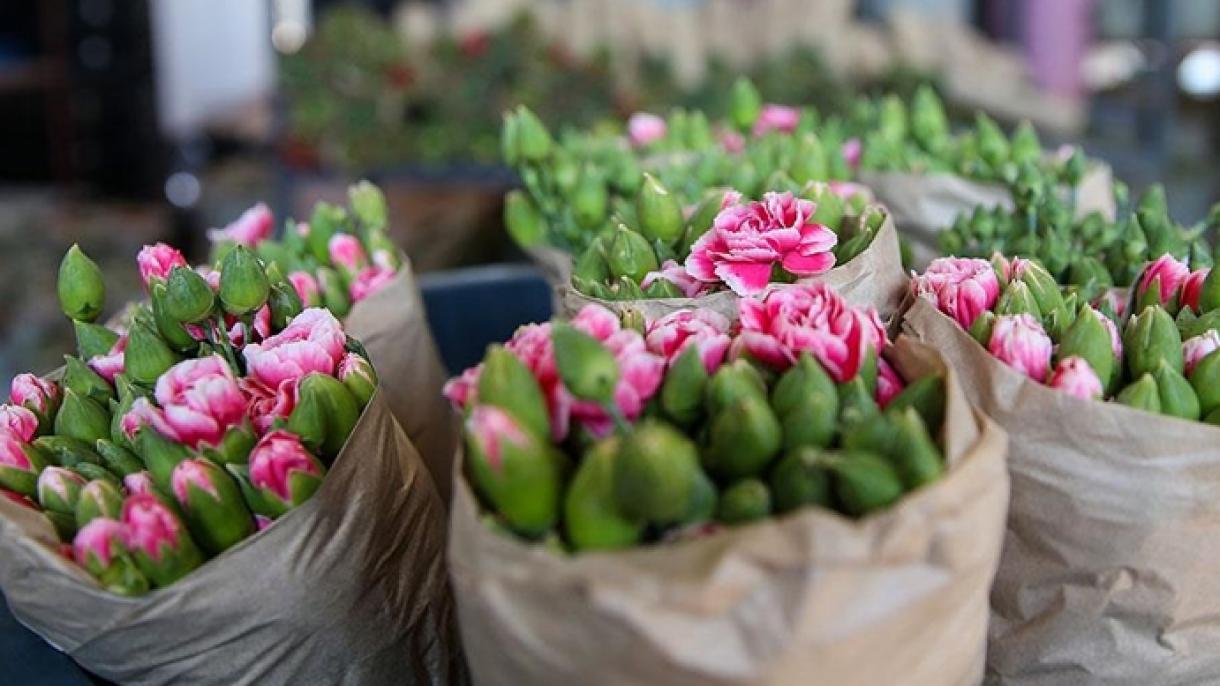 ترکی: رواں سال میں 83 ممالک کو پھول برآمد کئے گئے