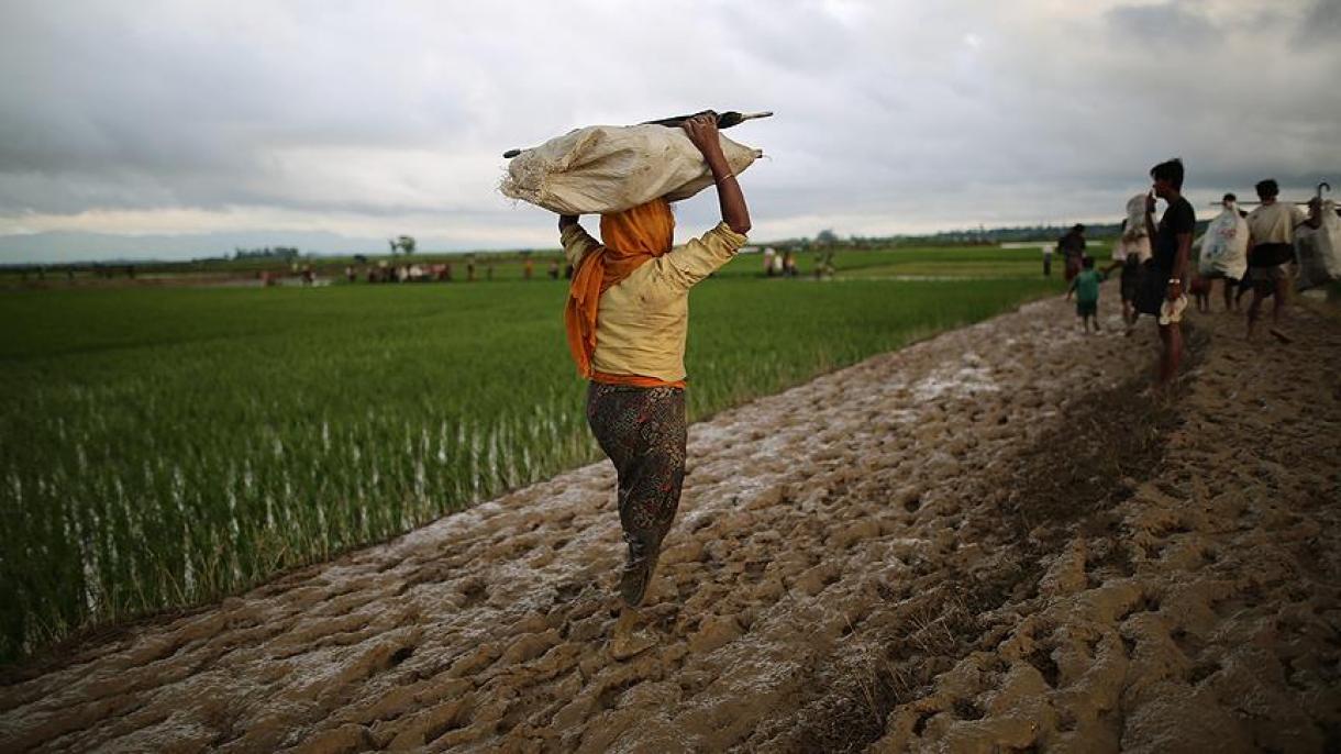 ACNUR: 73 mil muçulmanos Rohingya já cruzaram Bangladesh