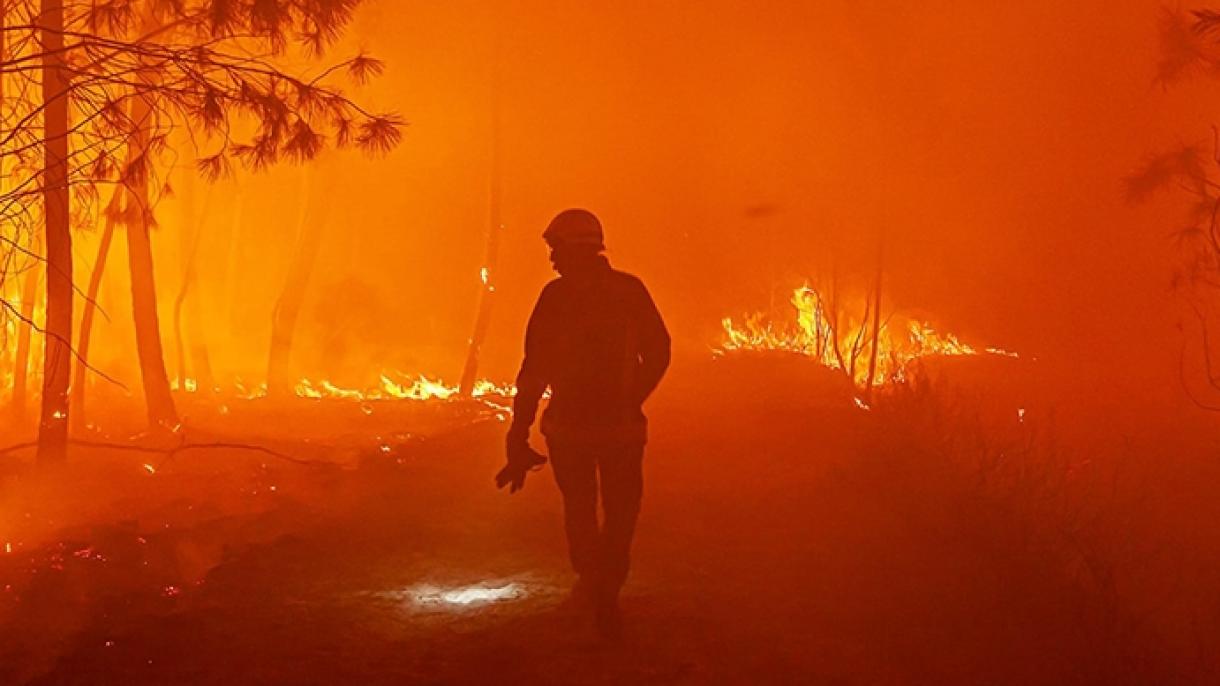 Calor extremo en Francia: los incendios se extienden a Córcega