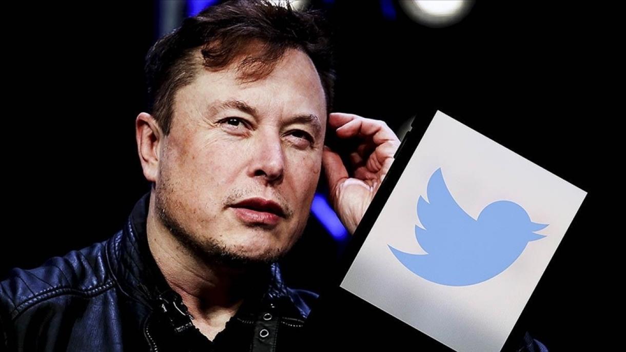 Elan Musk chiede "Devo dimettermi da capo di Twitter?