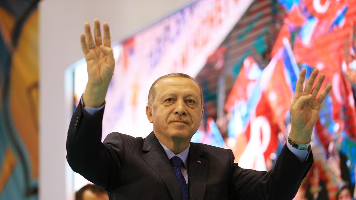 Erdog'an Firat qalqoni va Zaytun novdasi amaliyoti natijalariga to'xtaldi