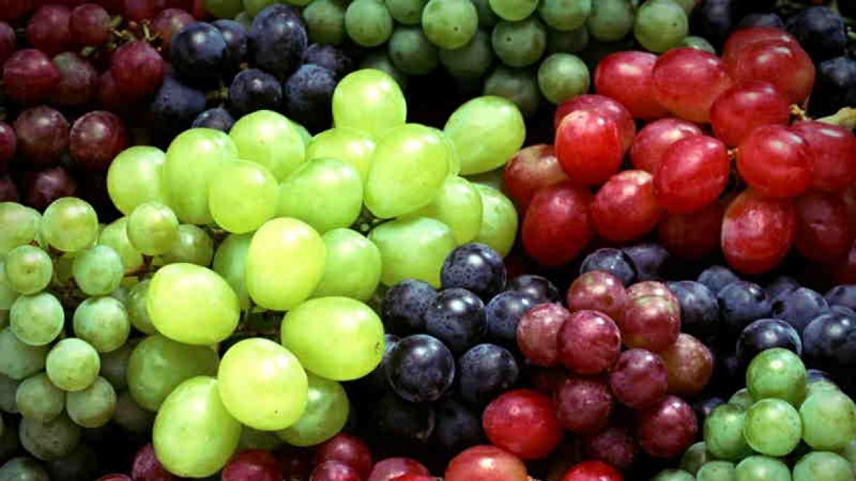 افزایش صادرات انگور ترکیه