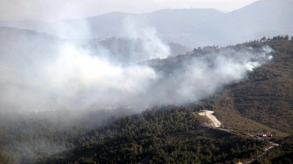 Με αμείωτη ένταση συνεχίζονται οι συγκρούσεις στο Τουρκμενταγι
