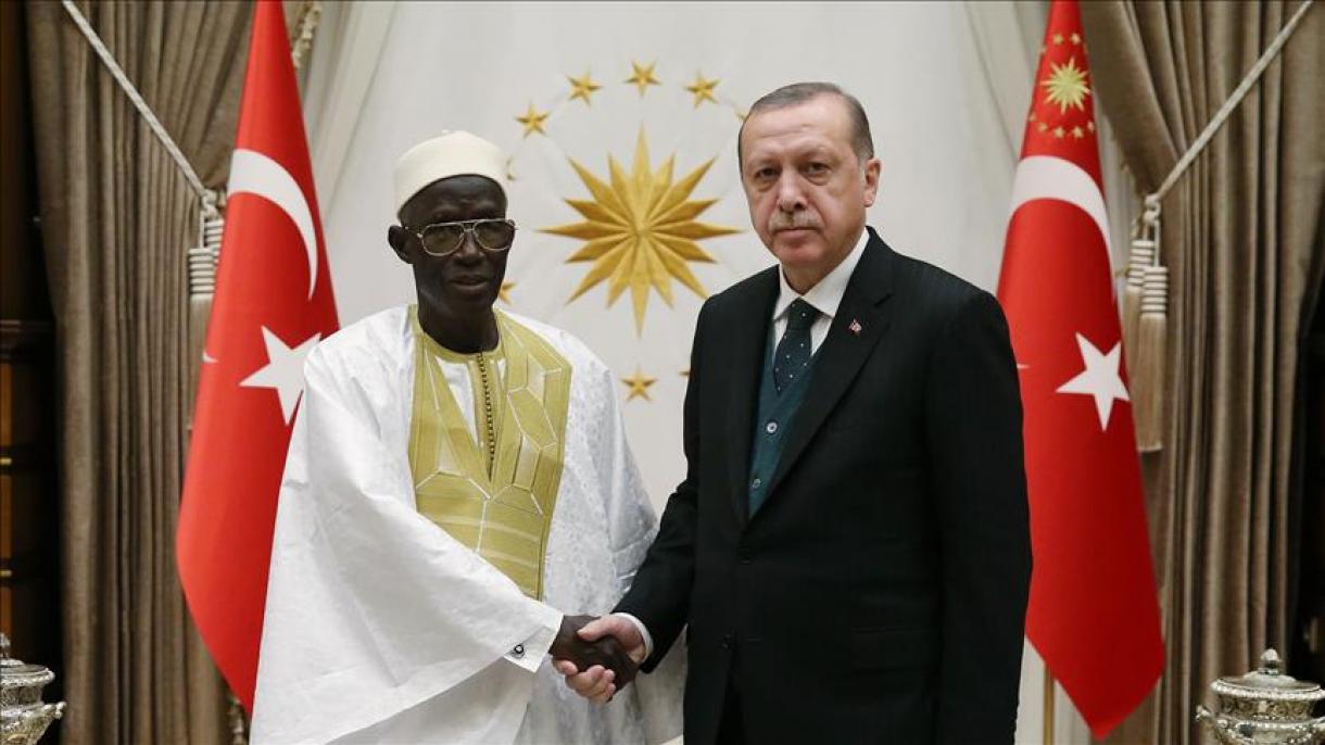 سفیر جدید گامبیا در ترکیه اعتبارنامه خود را تقدیم کرد