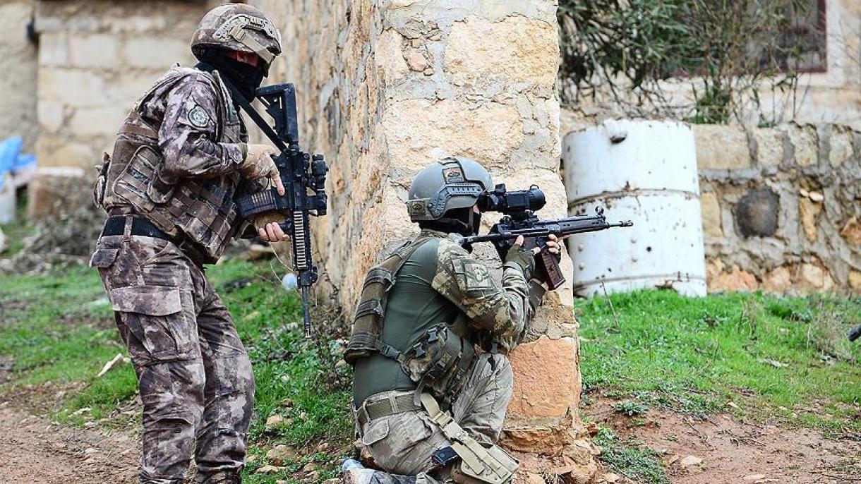 橄榄枝行动：土耳其武装部队战果累累
