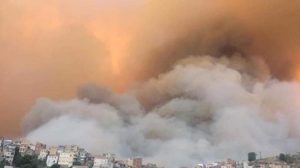 الجزائر: جنگلاتی آگ کے نتیجے میں اموات کی تعداد 65 تک پہنچ گئی