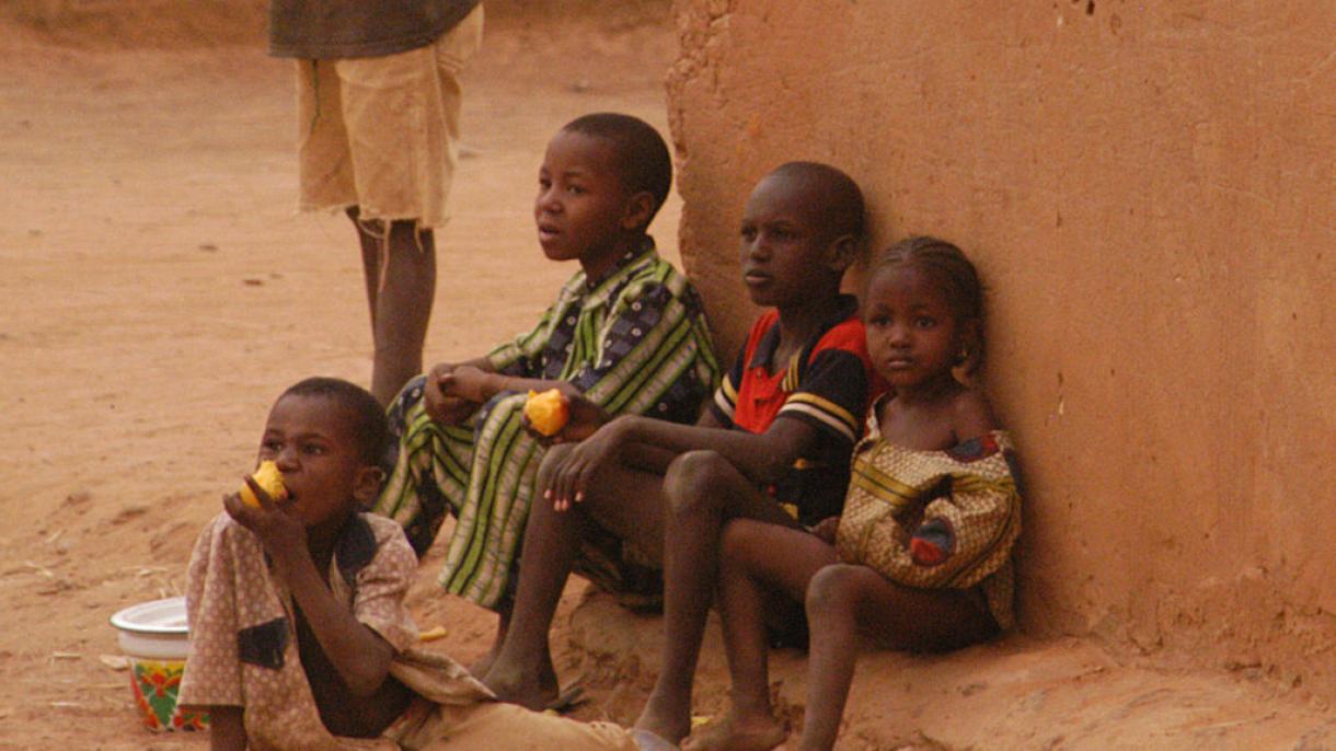 Епидемия от холера в Нигер...