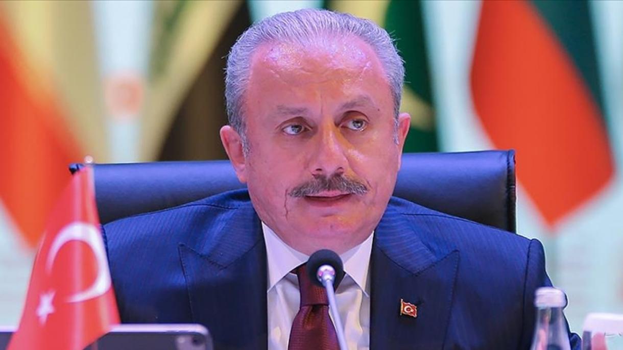 土耳其议长散托普谈反恐斗争的重要性