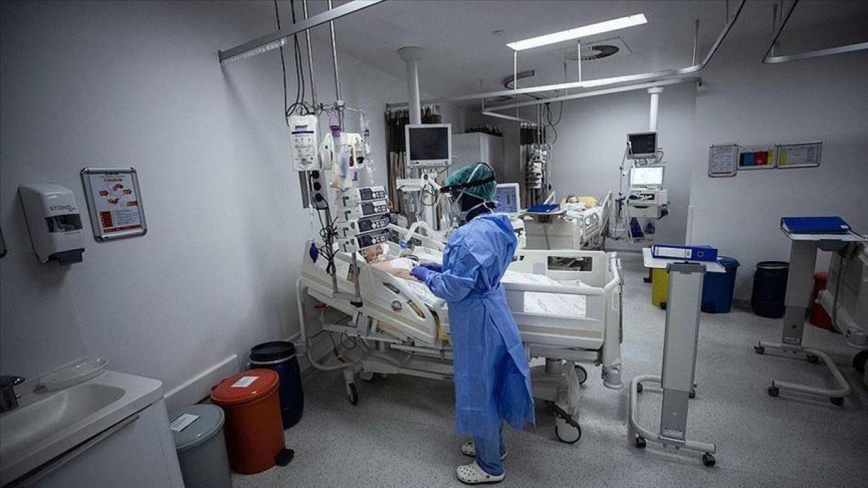 土耳其新冠病毒死亡病例增至2706例