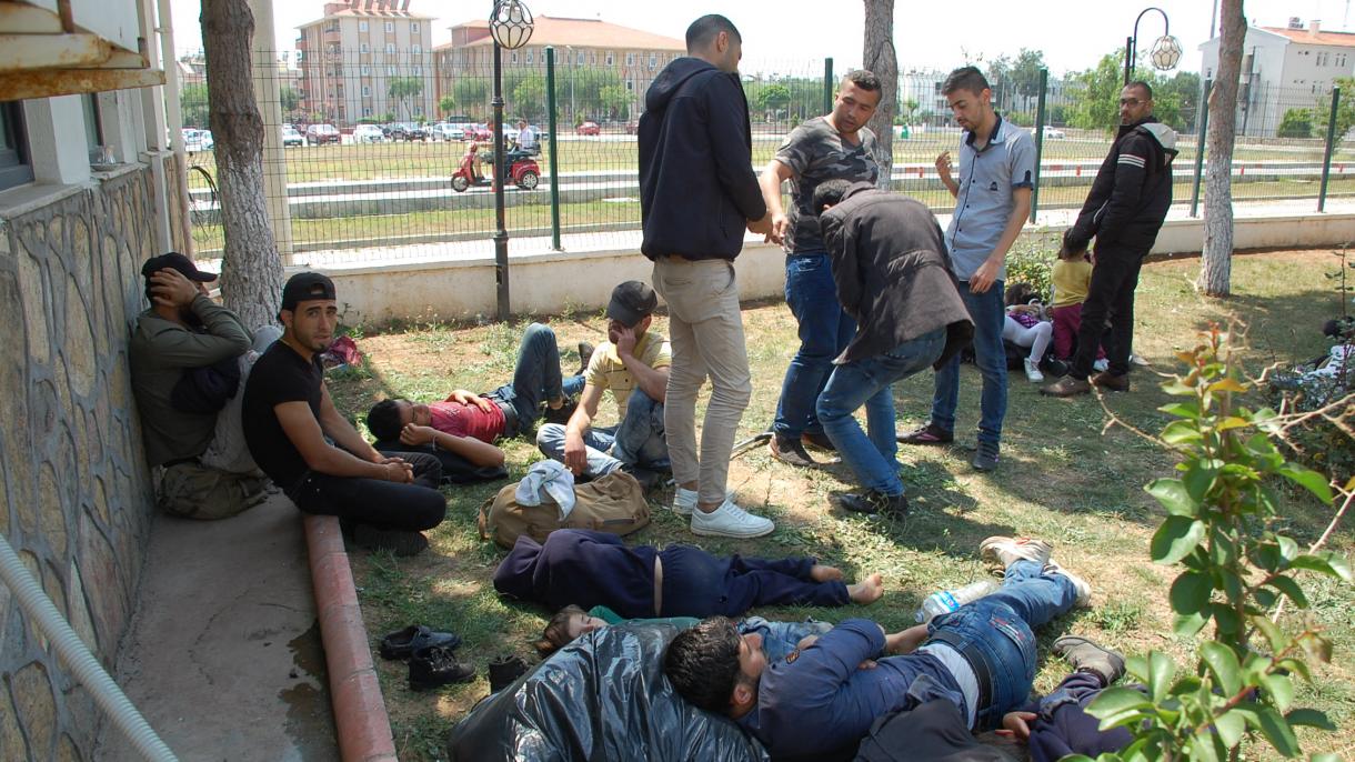 54 illegális migránst fogtak el Aydınban