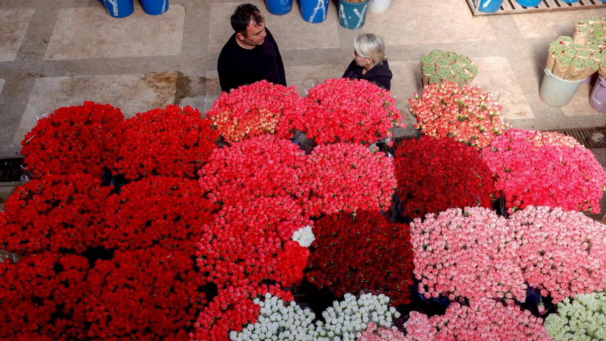Élénkült a török virágexport a február 14-ei Szent Bálint napja alkalmából