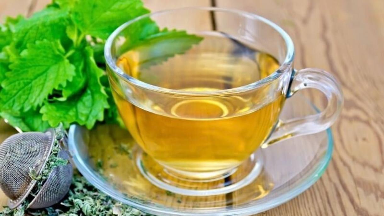 健康之泉35:香蜂花茶