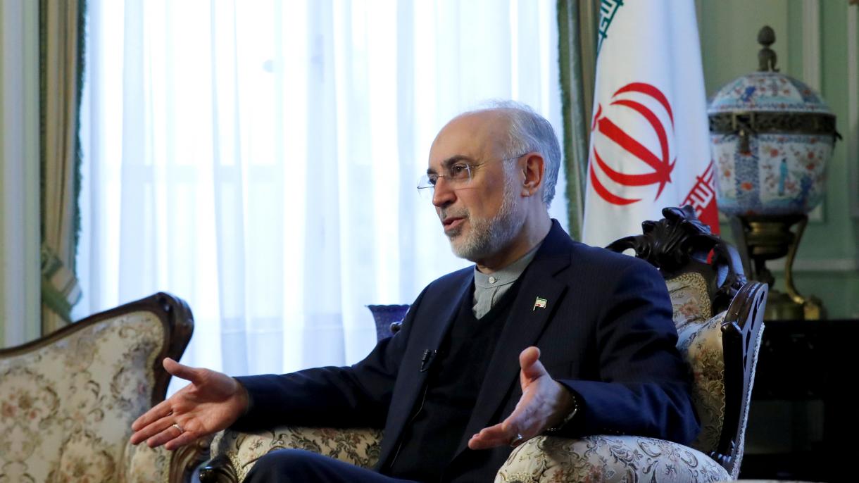 صالحی از ادامه همکاری های ایران و ژاپن در عرصه ایمنی هسته ای خبر داد
