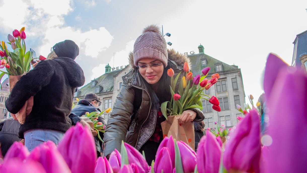 Dia Nacional da Tulipa na Holanda