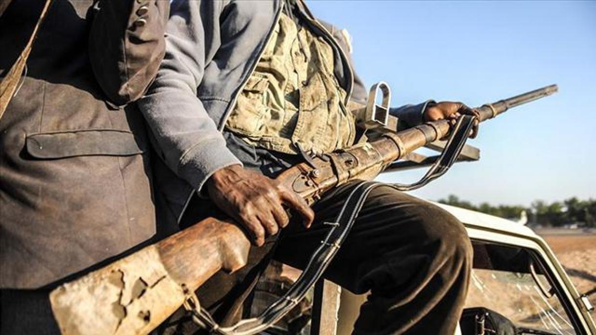 乍得南部农牧民冲突致35人死亡