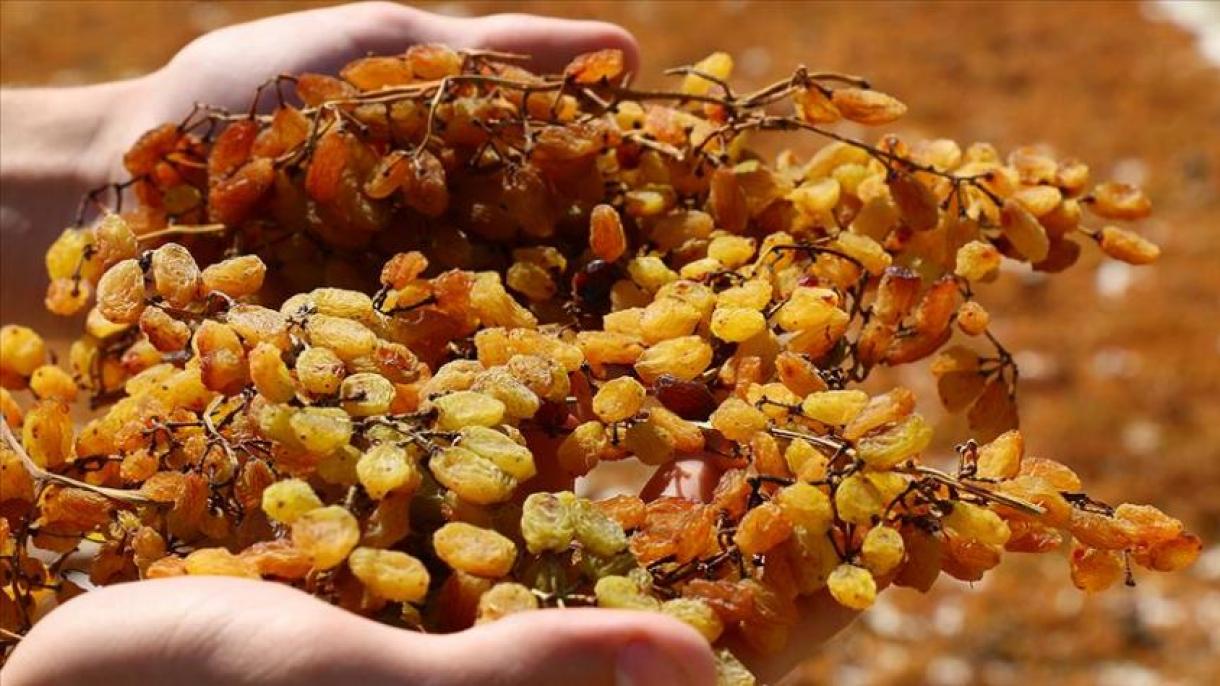 Las exportaciones turcas de pasas sin semillas aumentaron un 25 por ciento