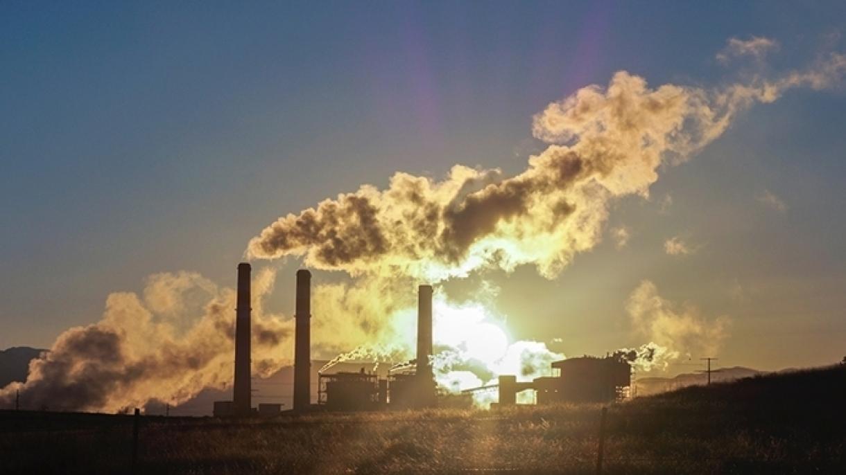 世界首富20国碳排放骤增