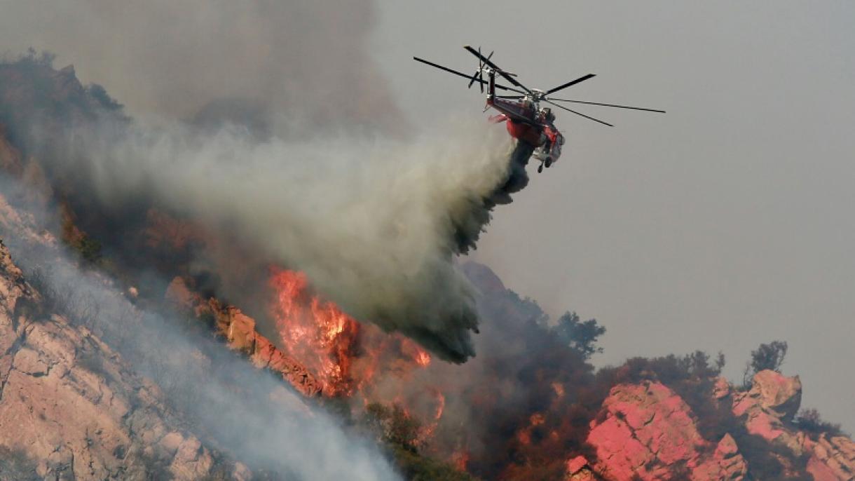Subiu para 42 o número de mortos nos incêndios florestais da Califórnia