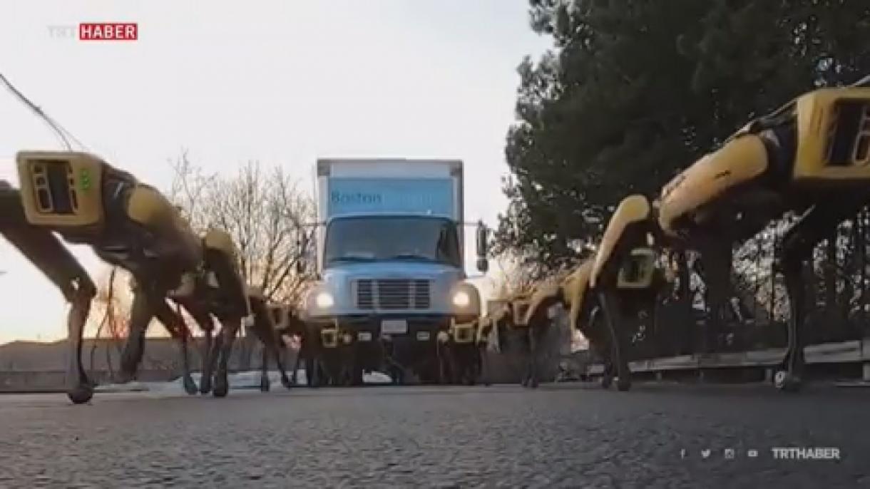 ربات ها کامیون حمل می کنند