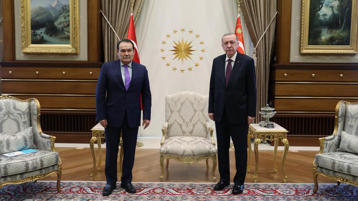 اردوغان دبیرکل شورای ترک را به‌حضور پذیرفت
