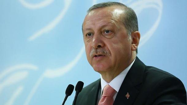 یورپی یونین کا ترکی کی دہشت گردی کے خلاف جدو جہد کے بارے میں  موقف دوغلا پن ہے ،صدر ایردوان
