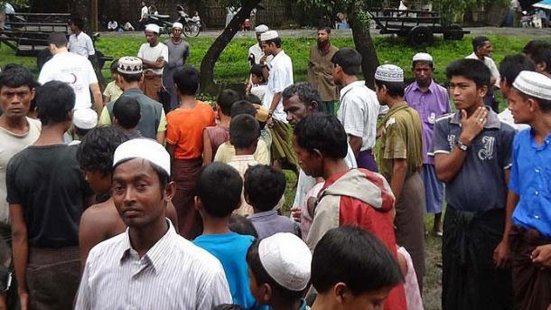 伊合组织特使呼吁缅甸解决若开邦穆斯林问题