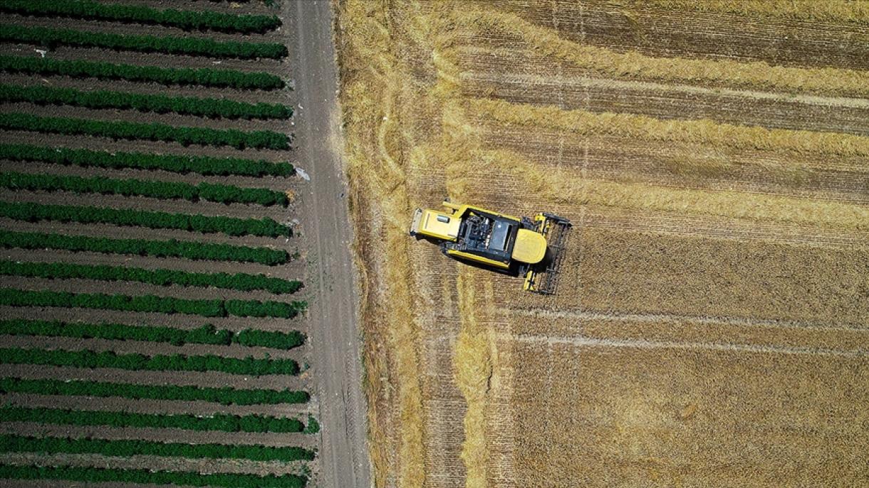 رکورد در صادرات بخش کشاورزی ترکیه در ربع اول سال جاری