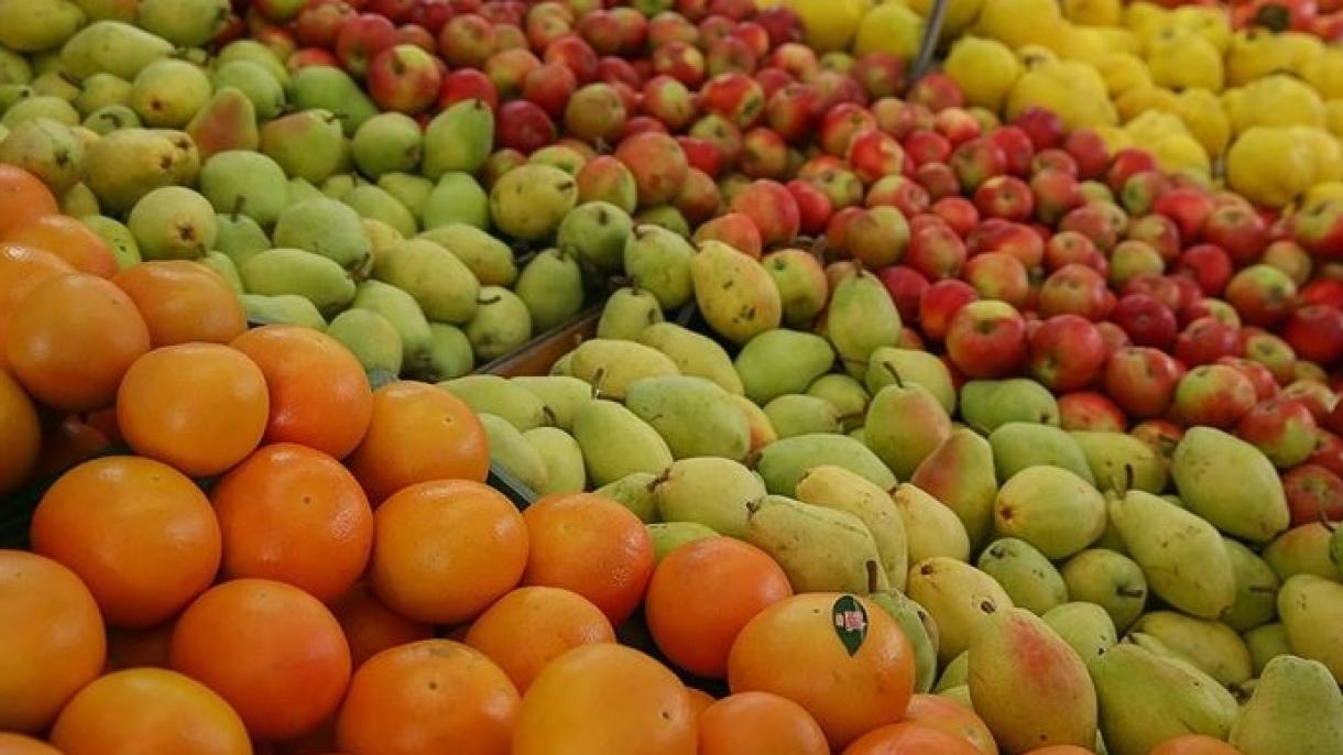 صادرات میوه و سبزیجات تازه ترکیه در ماه نوامبر