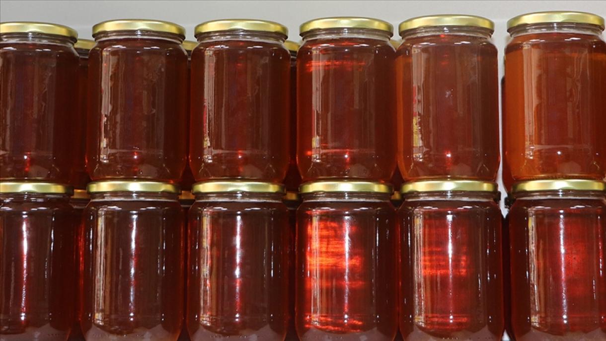 صادرات عسل از ترکیه در دو ماه اول سال جاری؛ 4,1 میلیون دلار