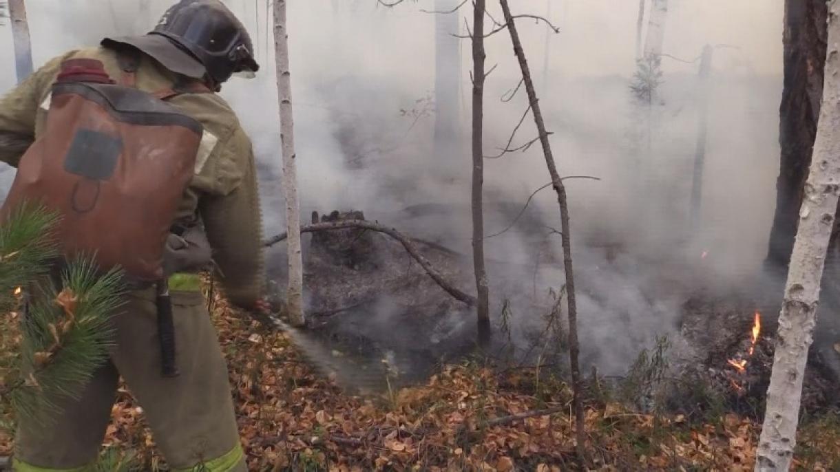 Incendii forestiere în Siberia