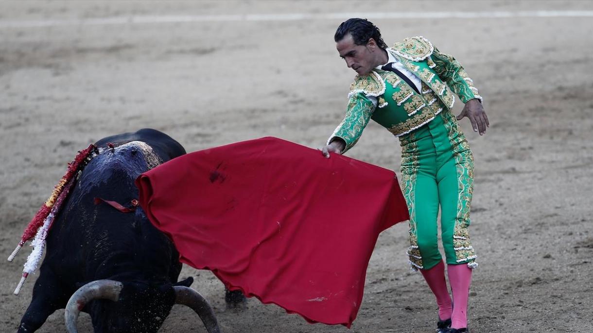 スペイン 闘牛で牛を擁護する新たな法案が可決