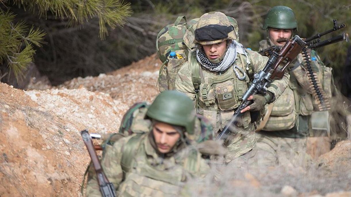 土耳其橄榄枝军事行动牺牲人数升至3人