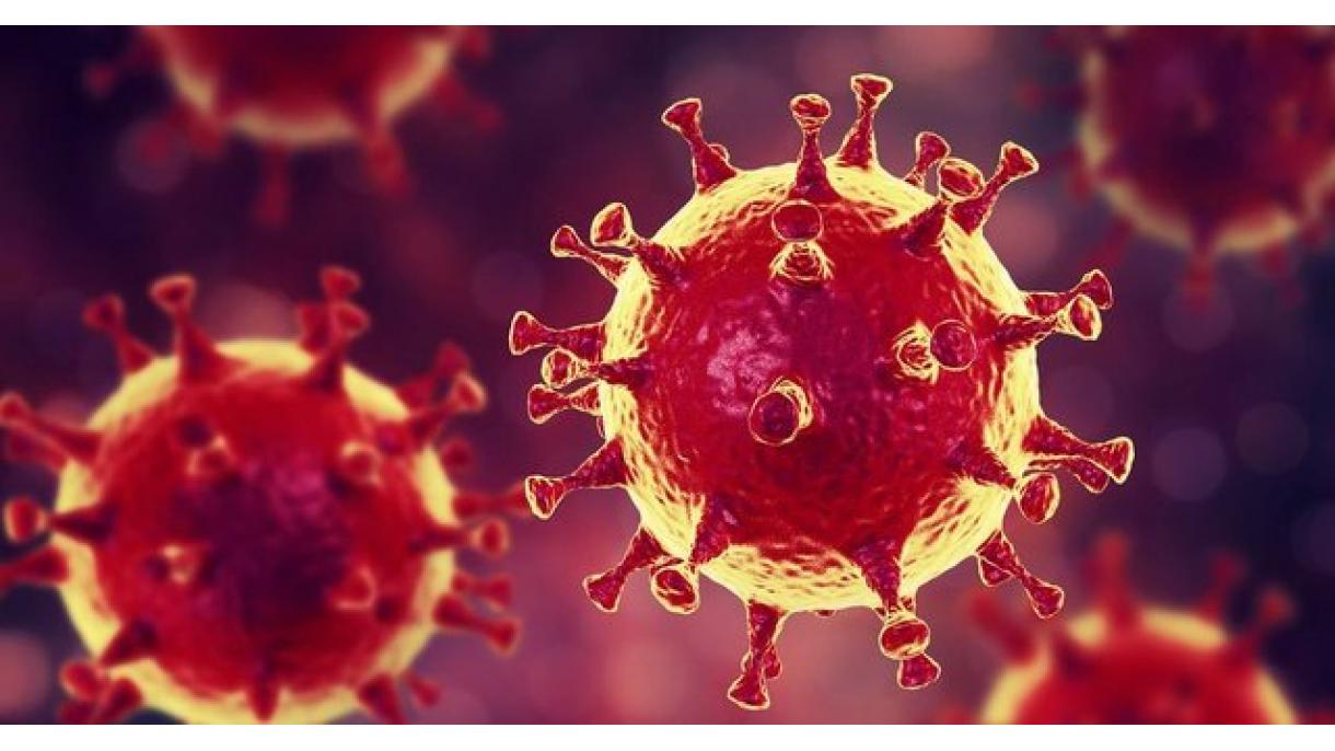 1 427 de oameni au fost diagnosticați cu coronavirus în Turcia